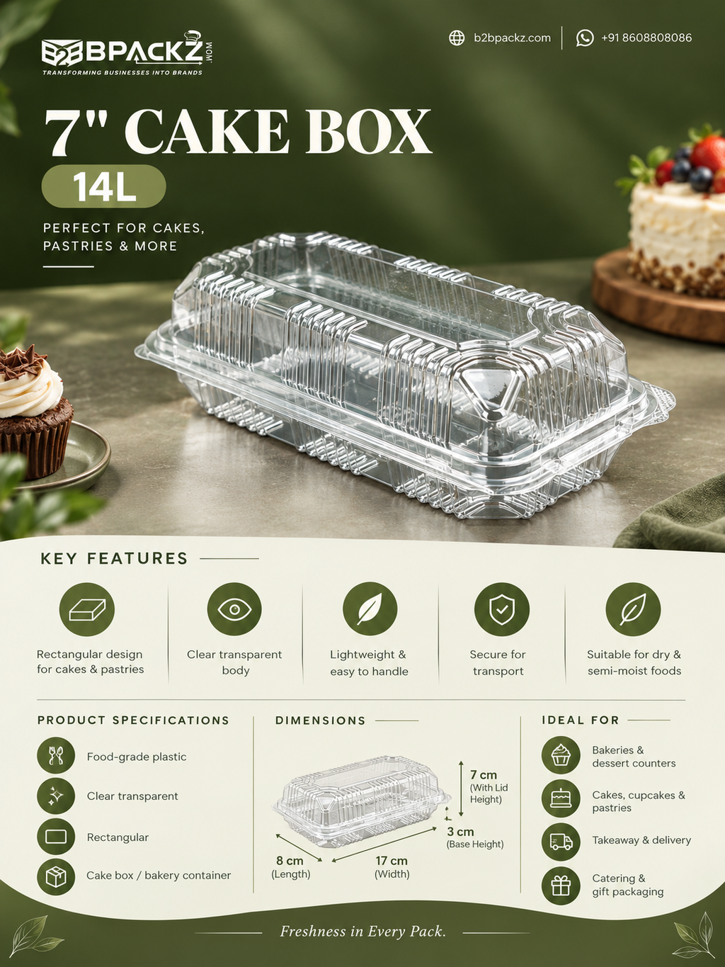 7 inch Transparent Medium Cake Box | Clear Base for Cake Display